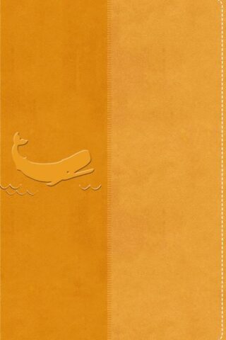 9780310464181 Illustrated Holy Bible For Kids Full Color Comfort Print
