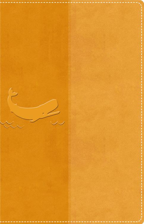 9780310464181 Illustrated Holy Bible For Kids Full Color Comfort Print
