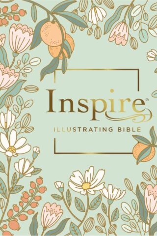 9781496462640 Dayspring Inspire Illustrating Bible Filament Enabled Edition