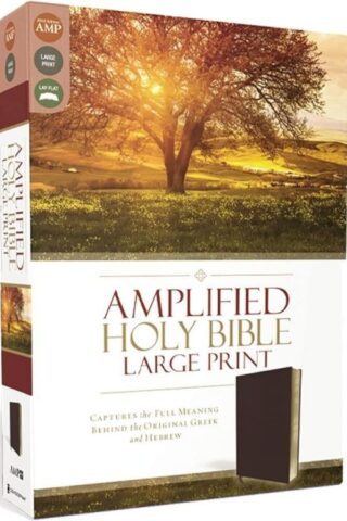 9780310444053 Amplified Bible Large Print
